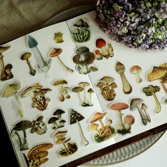 100 pcs Small Mushroom Translucent Vellum Matte Surface Paper Sticker Scrapbook