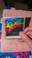 Vintage Scholastic Holographic Hologram Book Plate Sticker Tiger READ