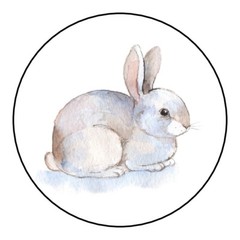 Bunny, Rabbit, Easter stickers, labels, tags, envelope seals,