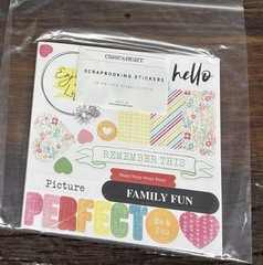 CLOSE TO MY HEART SCRAPBOOKING STICKERS IT’S THE LITTLE THINGS CC12318 NEW