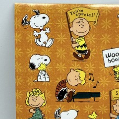 Peanuts Characters Stickers Snoopy Charlie Brown Encouragements 1 Sheet 13 Stkrs