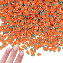 Polymer Clay Slices, 100g Radish Slice Fruit Art Slices, Orange Green