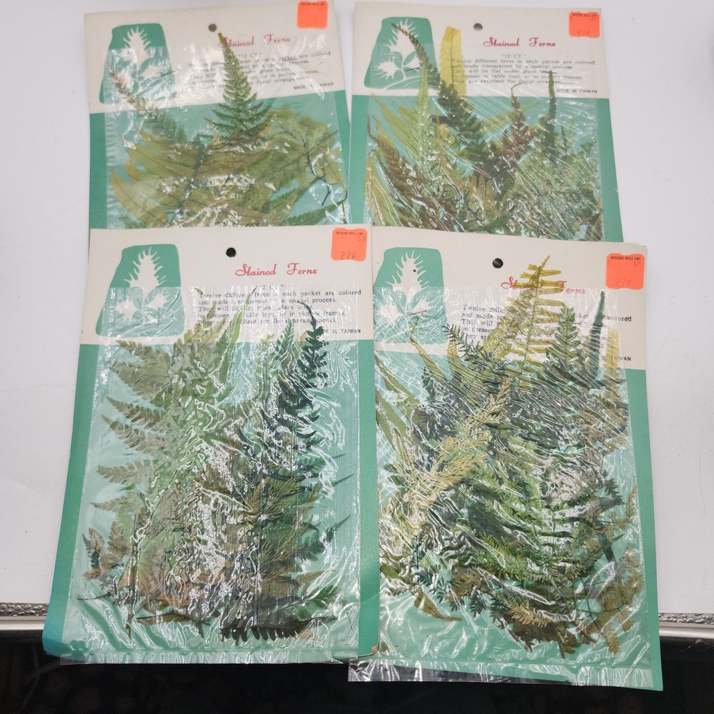 Lot 4 pkgs CHEMICAL STAINED pressed FERNS Taiwan Scrapbooking Paper Crafts NEW