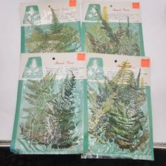 Lot 4 pkgs CHEMICAL STAINED pressed FERNS Taiwan Scrapbooking Paper Crafts NEW