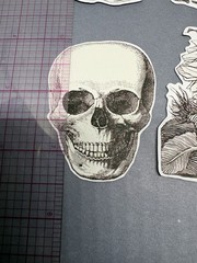 4 Sticker Set Black and White Line Art Skulls Flowers By Julie de Graag Skeleton