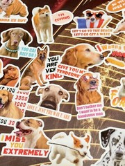 50 Pieces Bundle Pack Dog Theme Stickers Decal High Glossy Finish