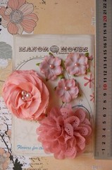Mixed APRICOT Fabric Organza Lace 5 Flower Pk 3-8cm Manor House
