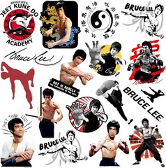 BRUCE LEE VARIETY DIE CUT VINYL 50 CT STICKER PACK