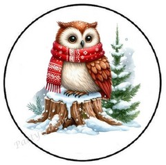 WINTER CHRISTMAS OWL ENVELOPE SEALS LABELS STICKERS PARTY FAVORS