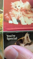 Vintage Stickers By Paula Dogs And Cats Friendship Lot 2 Sheets(1 W/Damage)