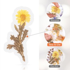 160pcs Floral Plant Stickers for Scrapbooks, DIY Crafts, Planners, Journals