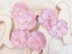 IMAGINE – BERRY PINK – 6 Flowers PAPER 50-55mm Manor House