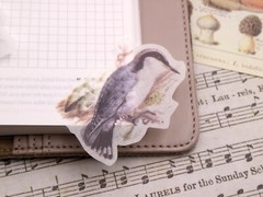 60pcs/Pack flower birds animal floral plant botanical Themed , washi paper stick