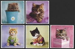 Stickers – Cat Kitten – Any Occasion CL050