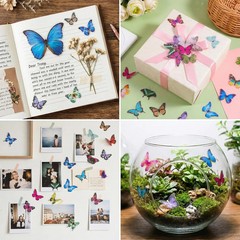 240PCS Butterfly Stickers, PET Waterproof Transparent Colorful Resin Decals Deco