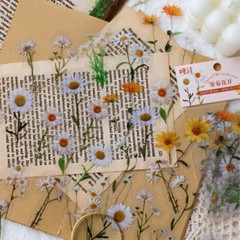 Nature Flower Tulip Plant PET Stickers Journal Label Scrapbook Decorative Crafts