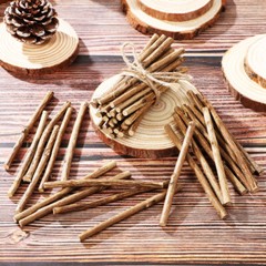 50 Pcs Wooden Sticks for Crafts Branches Craft Log Sticks Rustic Home Decors New