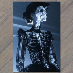 STICKER Fashionable Skeleton X-ray image stylish dress fashion anatomy xray