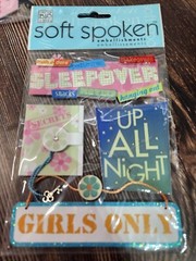 Scrapbooking Stickers Girlfriend Theme Lot of 13 Packages (#4) women besties