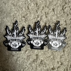 3 Nashville Botten Douth Brandy Melville Sticker