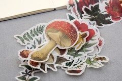 60pc botanical and mushroom Washi stickers | flower die-cut Stickers M02 TZB-L2