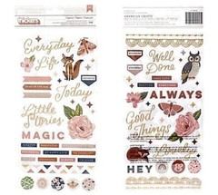 Pink Paislee CAPTURED Collection PUFFY PHRASE & ACCENT Stickers – 108 pcs