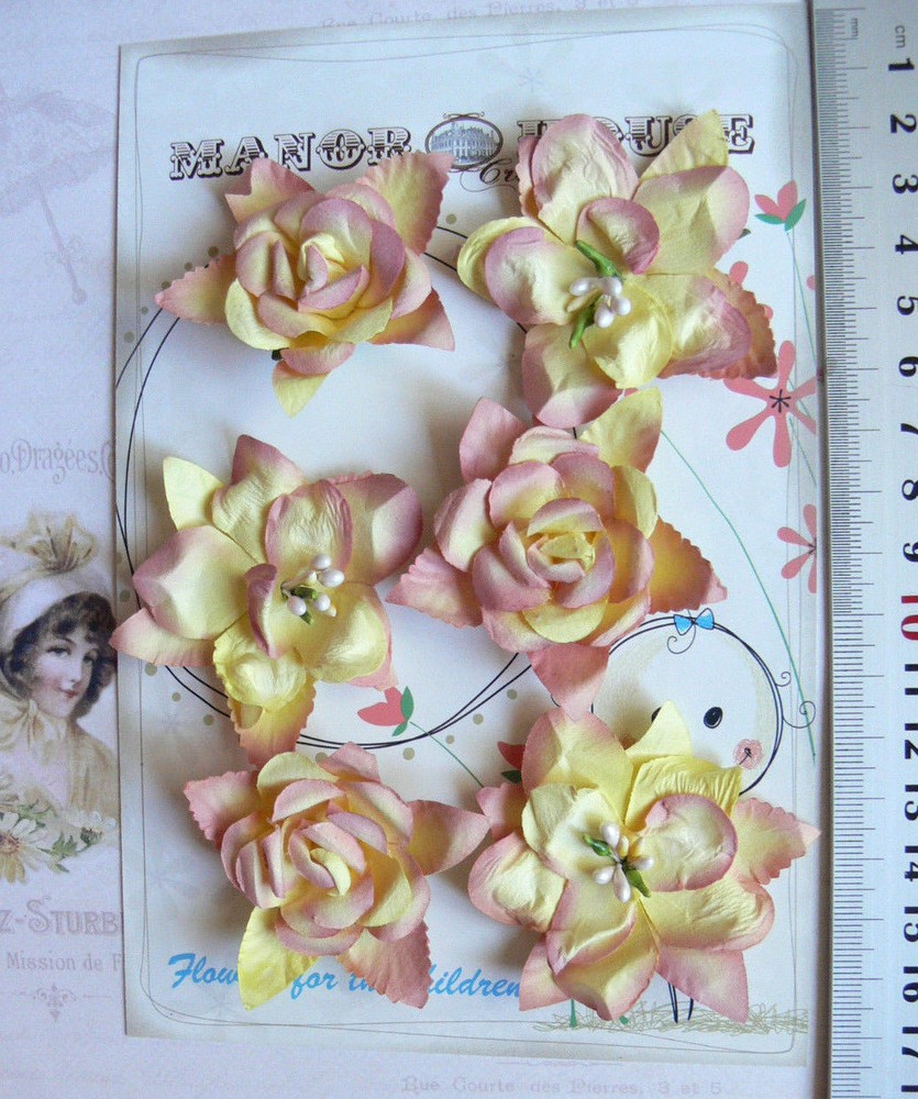 Wild PEACH ORCHID & ROSE Mix – 3 x 2 Each Flowers PAPER 50-55mm Manor H ConA