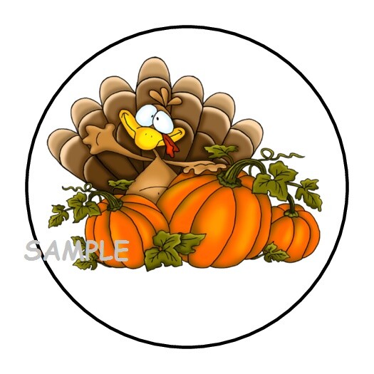 30 THANKSGIVING ENVELOPE SEALS LABELS STICKERS 1.5″ ROUND SILLY TURKEY PUMPKINS