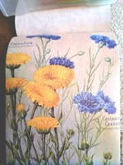 50 Pgs Detailed Beautiful Floral Sticker Book & Eph Paper 22pgs & 375 Stickers