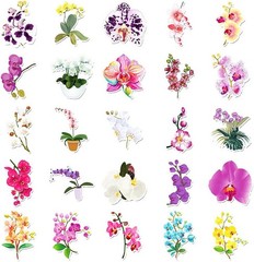 Elegant Orchid Flowers Vinyl Stickers, 50 PCS Waterproof Realistic Floral Decals