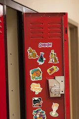 Variety Sticker Pack – 50 Count Die-Cut Vinyl Stickers for Laptop, Water Bottle