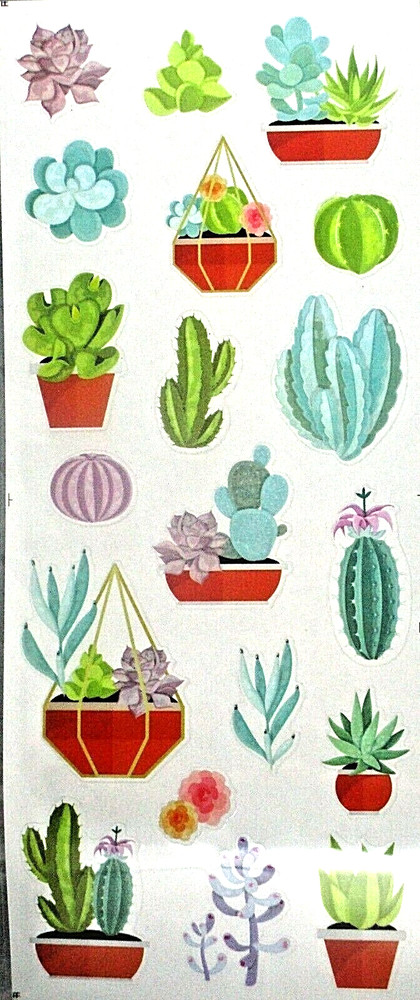 Cactus Terrarium Southwest Desert Succulent 12″ Clear Stickers Scrapbook Journal