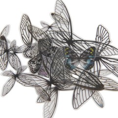 Tim Holtz Idea-Ology Transparent Acetate Wings TH93785 Angel Butterfly 72 pcs.
