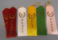 Mixed Award Ribbon Pack – 2nd–6th Place – Flat Card & String – Classroom Sports