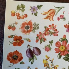 Vintage AGC Inc. – Wild Flowers Sticker Sheet