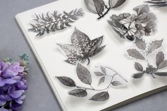 flower sketch vellum sticker | calla lily flower Silver foil black white