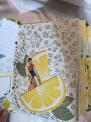 Lemon Themed Junk Journal 6 X 8 X 2” Approximately 40 Pg