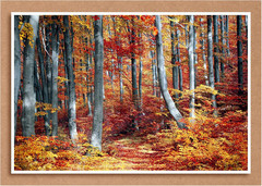 200 Sheets Chipboard 5 X 7 Inch, 40Pt (Point) Medium Weight Chipboard .04 Calipe