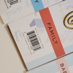 NEW Lot 3 DCWV Color Vellum Title Stacks FAMILY BABY GIRL BOY Headers 75 ct -G