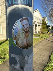 Holographic Sticker Tig Bitted Paul Blart – Kevin James meme comedy funny haha