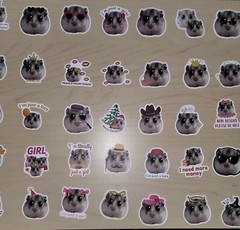 50 Cute Hamster Meme Stickers – Gerbil Guinea Pig