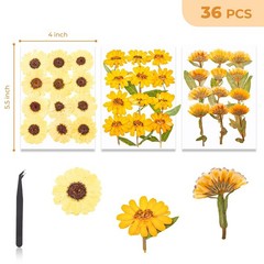 36 Pcs Yellow Dried Pressed Flowers for Resin Crafts – Zinnia, Calendula, Mar…