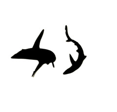 ORCA, DOLPHINS, SHARKS, & KILLER WHALES SILHOUETTE DIE CUT/ CUTS (ALL DIFFERENT)