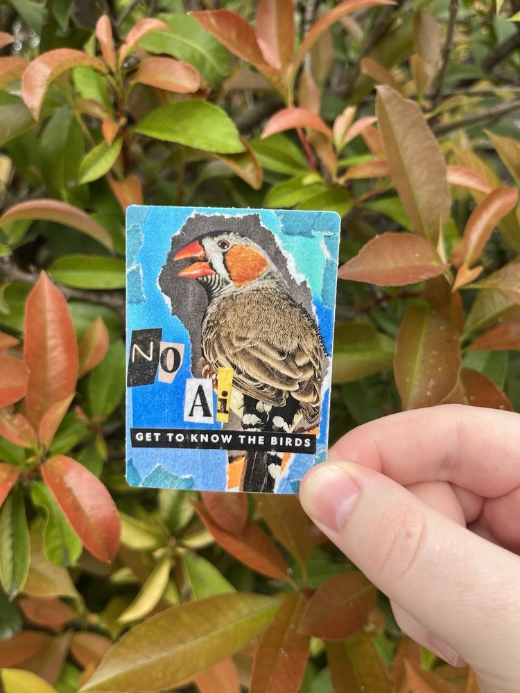 Birding Nature 3” Waterproof STICKER, Human Made Art, Finch Birdwatching Hiking