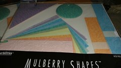 120 MULBERRY ASSORTED/COLORS & SHAPES by PAPERBILITIES NEW