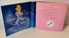 Lot Disney Theme Stickers New (5) & Card (1) Princesses, Peter Pan, Cinderella