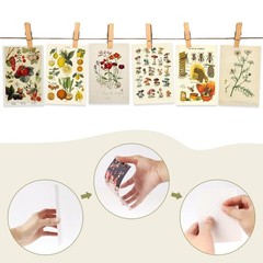 SAISHUO Wall Collage Kit,50 Pcs DIY Wall Decor Postard Paper with Traceless A…