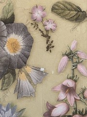 K&Company JULIANA LILACS Embossed Stickers ENGLISH FLOWERS WILDFLOWERS