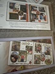 Creative Memories Autumn Fall Leaves, Gourds,Squirrels & Apples 6 Sticker strips
