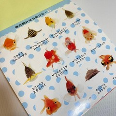Shogakkan Uozura Fish Heads Stickers book 274 Japanese stickers Shogakkan